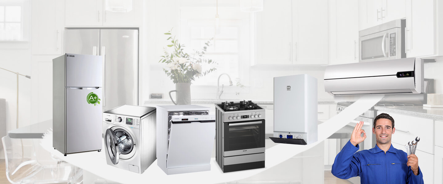 Kumru Dominox Servisi